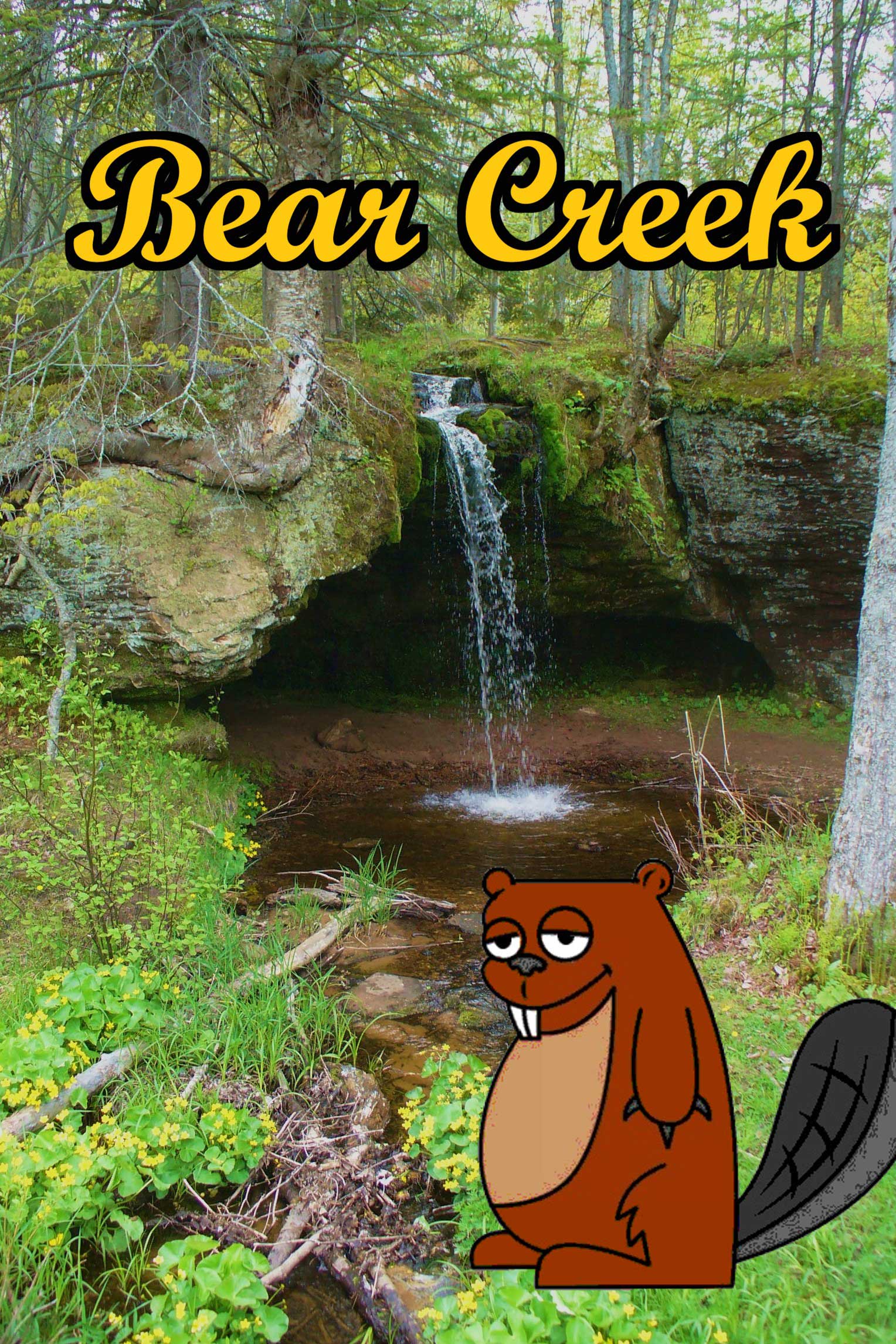 Placeholder Picture